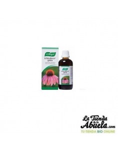 4 x Echinaforte 100ml A.Vogel