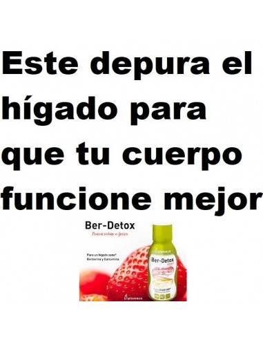 6 x Ber Detox 250ml Plameca - sabor...