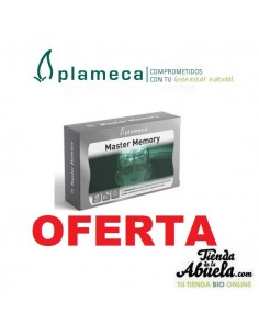 Master Memory Plameca