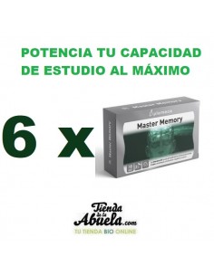 6 x Master Memory Plameca...
