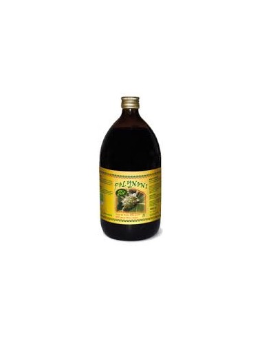 Zumo de nony ecológico 1 litro Polynoni