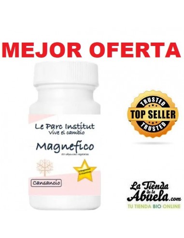Magnefico Le Parq Institut