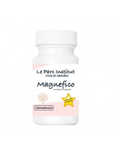 Magnefico Le Parq Institut