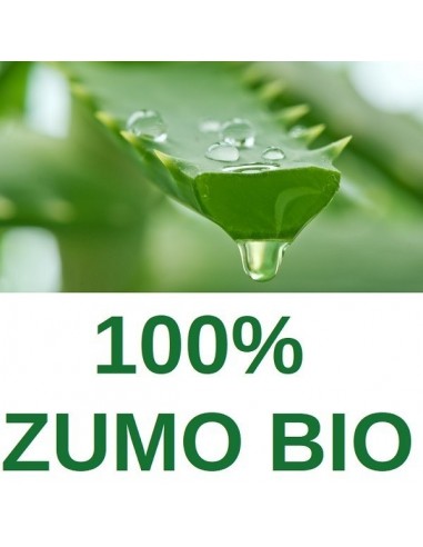 6 x Zumo Aloe Vera bio 1 litro Plameca