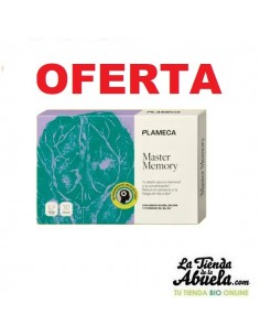 Master Memory Plameca