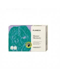 Master Memory Plameca 2