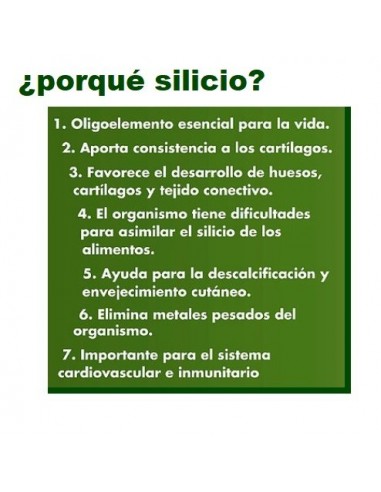 3 x Silicio Orgánico 1 litro Vitasil