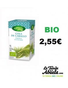 copy of Cola de caballo en... 2