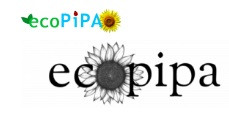 Ecopipa